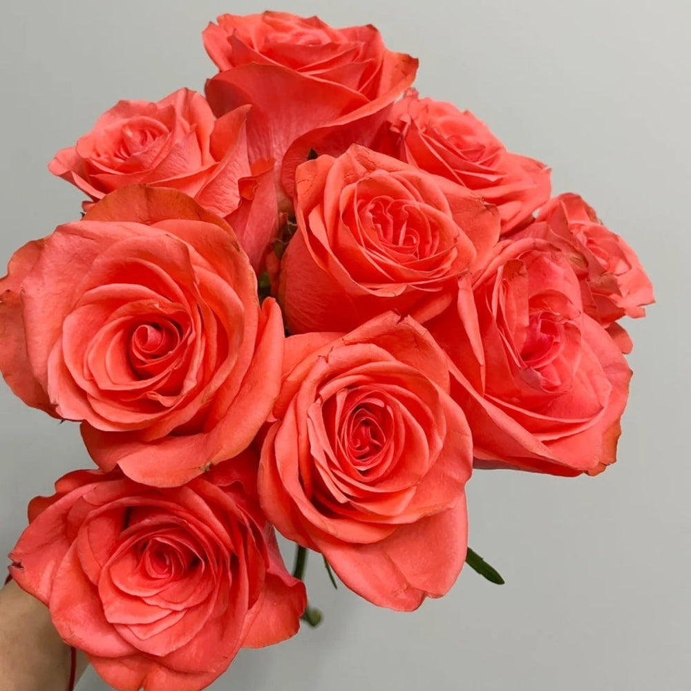 Wow! Rose