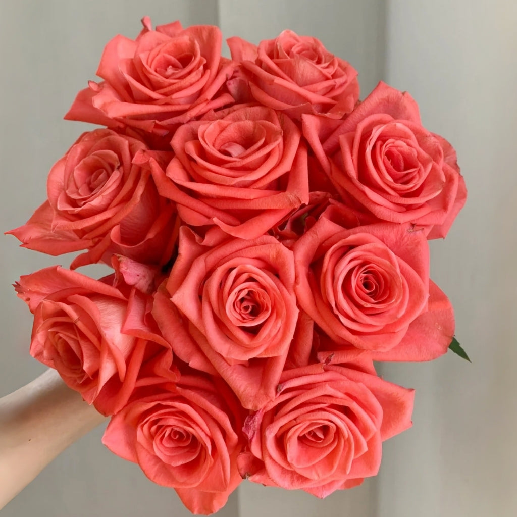 Wow! Rose
