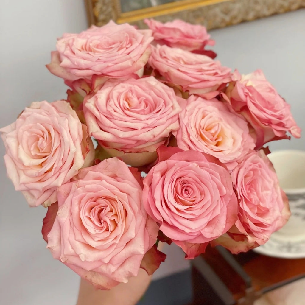 Xiaoxiang Rose