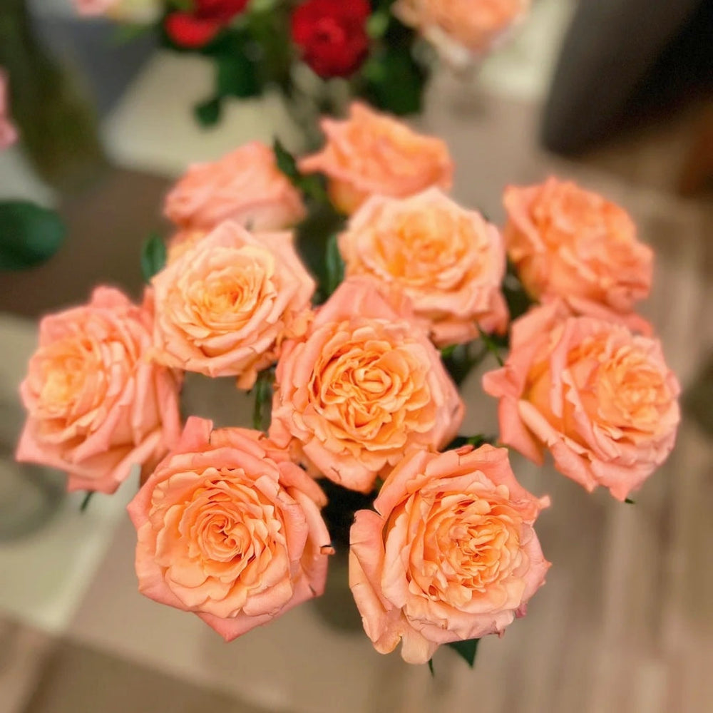 Yanluo Rose