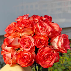 Yashika Rose