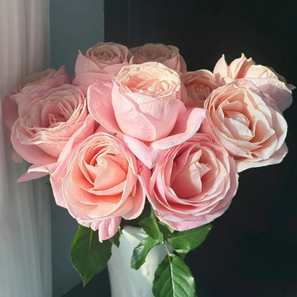 Yunjin Rose