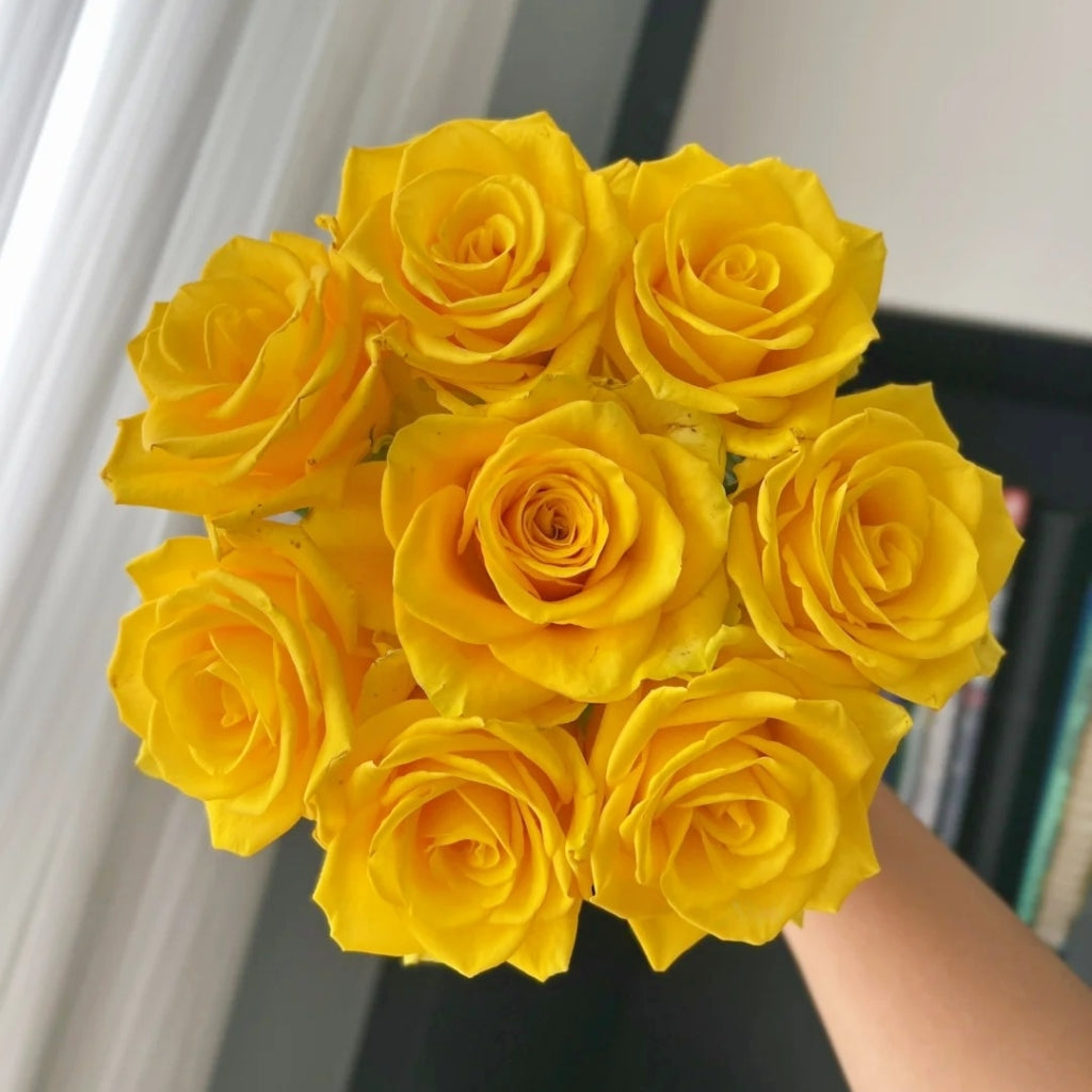 Zaoan Rose