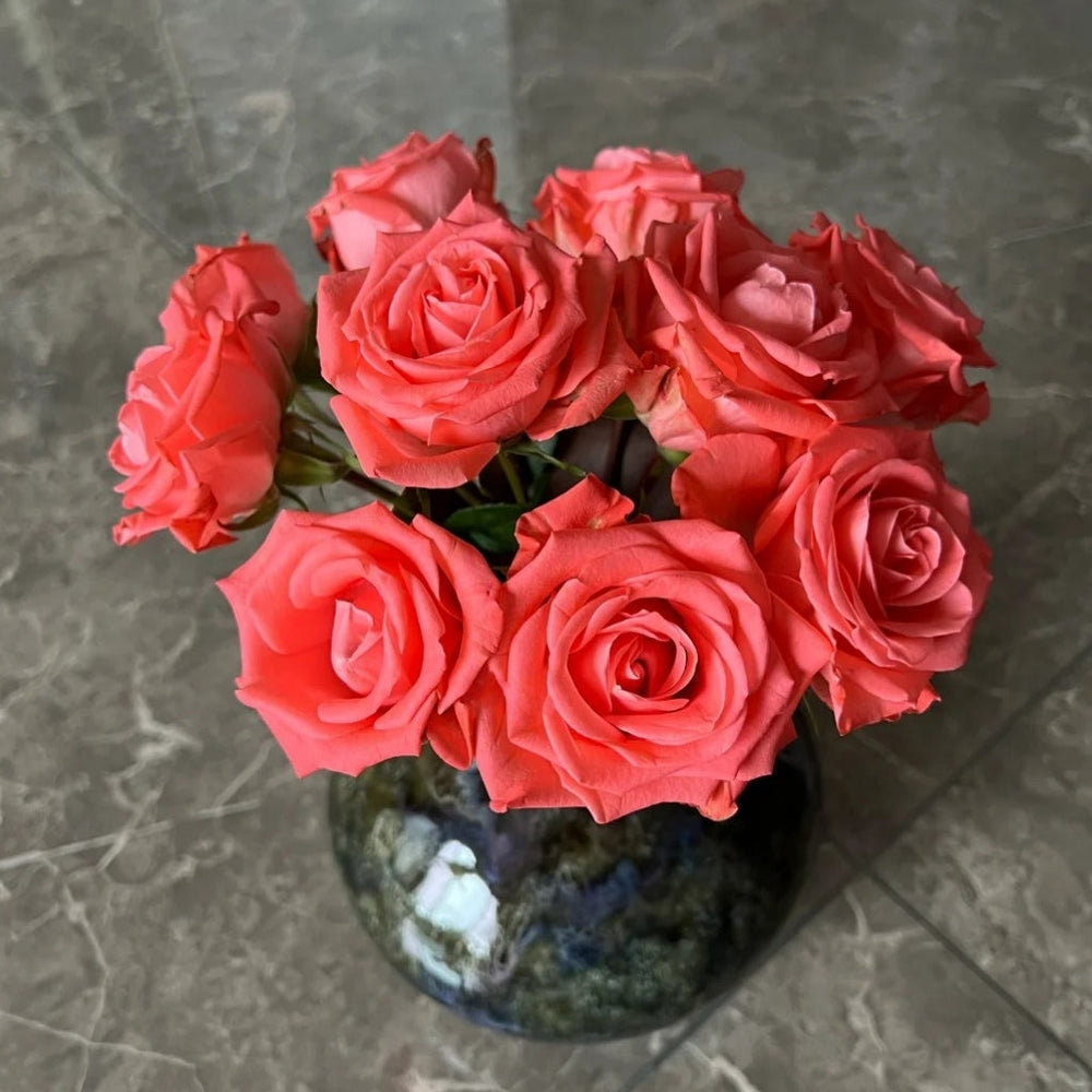 Zhihua Rose