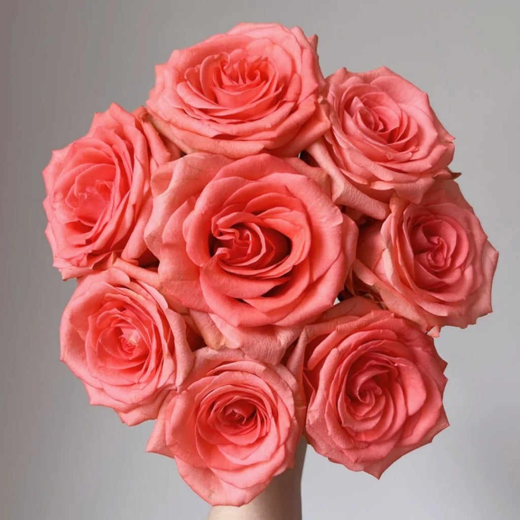 Zhihua Rose